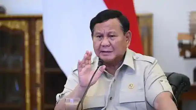Rapat Karhutla di Istana: Pembaruan Lapangan dan Langkah Pengendalian