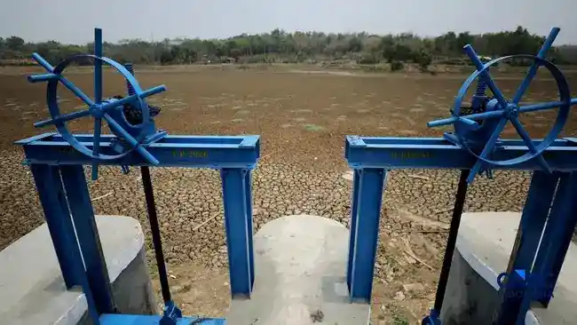 Situ Rawa Bedeng Mengering, Warga dan Petani Bekasi Kehilangan Andalan Air