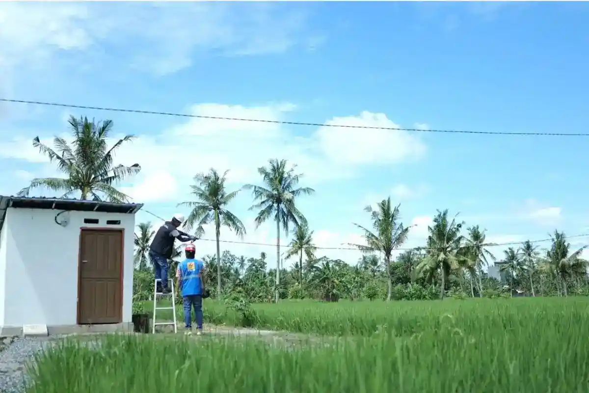 Listrik Bantu Dongkrak Hasil Panen di Sidrap