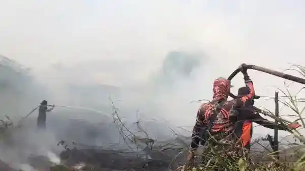 Api Gambut Kembali Membesar di Sampit, Petugas Kerahkan Tujuh Kendaraan