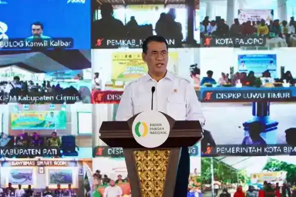 Cadangan Beras Pemerintah 4,56 Juta Ton Jadi Bekal Antisipasi El Nino