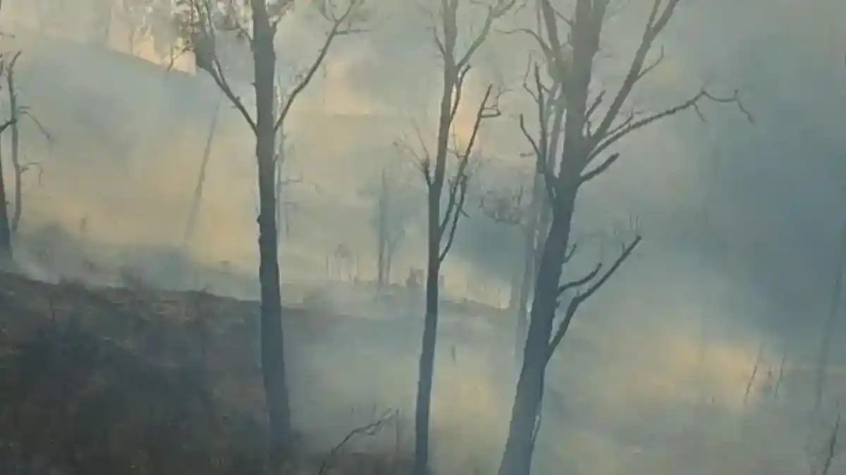Relawan Sekuriti Hotel Jadi Korban Keenam Karhutla di Bromo