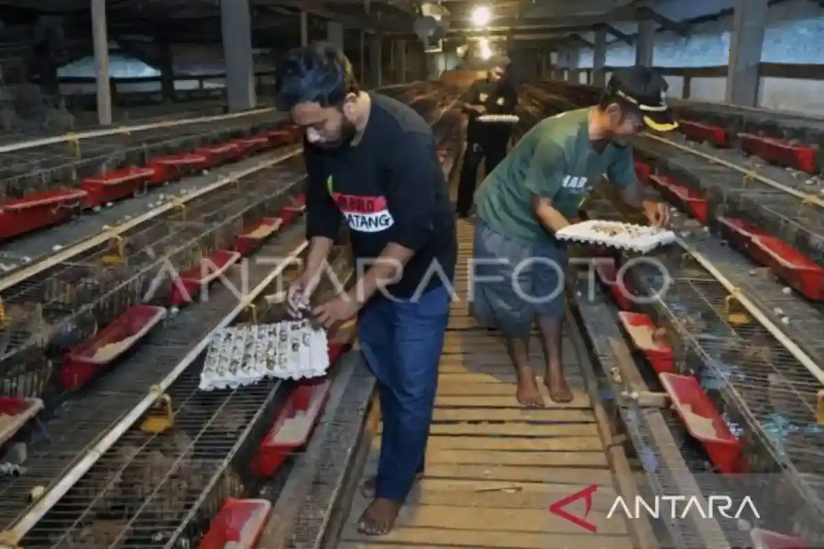 UMKM Disiapkan untuk Memperluas Pasokan Bahan Program Makan Bergizi Gratis