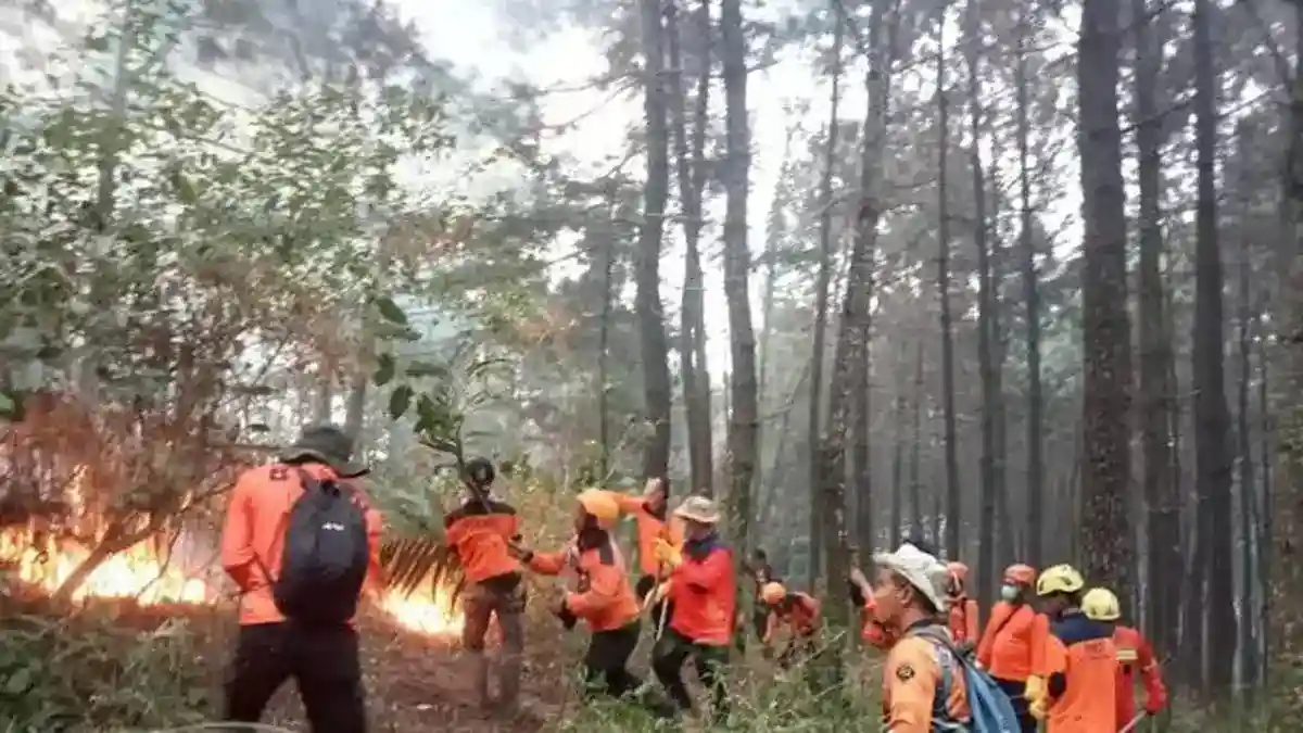 Satu Titik Api Masih Tersisa dalam Karhutla di Gunung Lawu