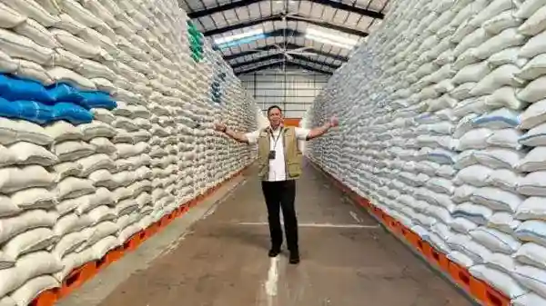 Cadangan Beras Indonesia Tembus 4,5 Juta Ton, Lampaui Stok Malaysia dan Filipina