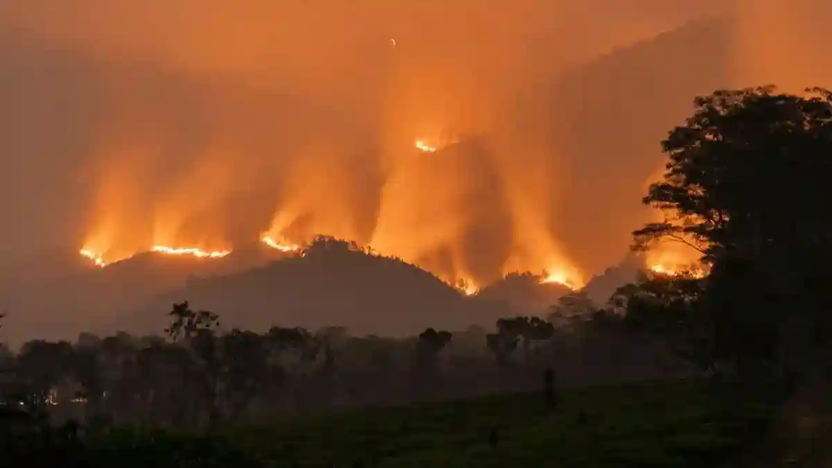 Api Karhutla di Toraja Utara Padam, Liang Pongtimban Sempat Terdampak