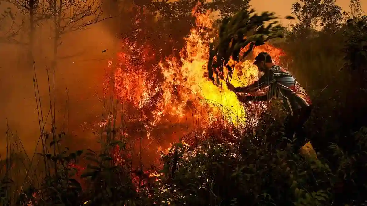 Polri Tetapkan 20 Korporasi sebagai Tersangka Kebakaran Hutan dan Lahan