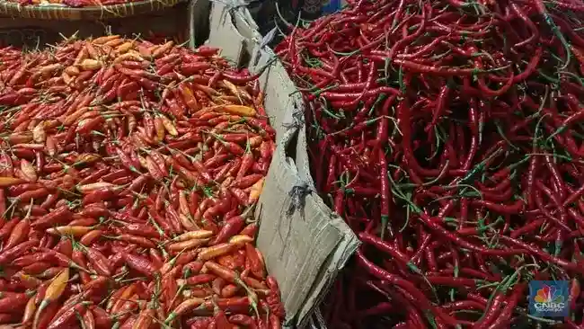 Cabai dan Beras Jadi Sorotan BI di Tengah Tekanan Inflasi Pangan