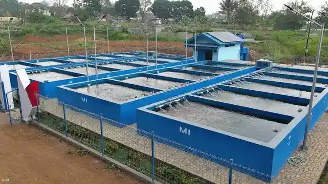 KKP Siapkan Budi Daya Ikan Tematik di 76 Lokasi DIY